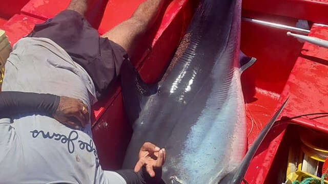 K’ptain Ariel - Pêche en mer