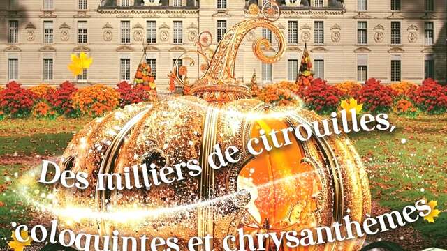 automne magique au Château de Cheverny