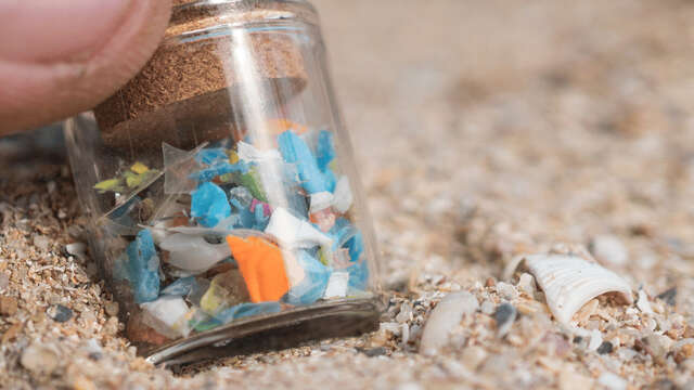 Conférence : les microplastiques