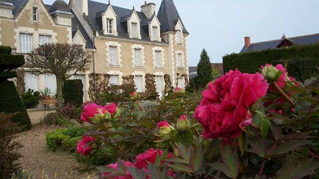 Fête des pivoines
