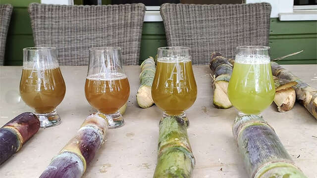 L'atelier du Cannier (Distillerie A1710)