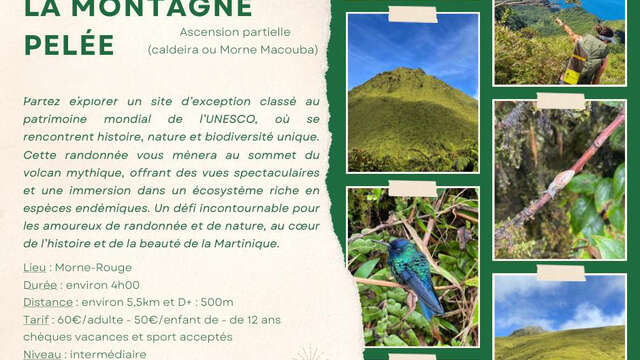 Randonnée La Montagne Pelée - Ascension partielle (Rando A2Pas)