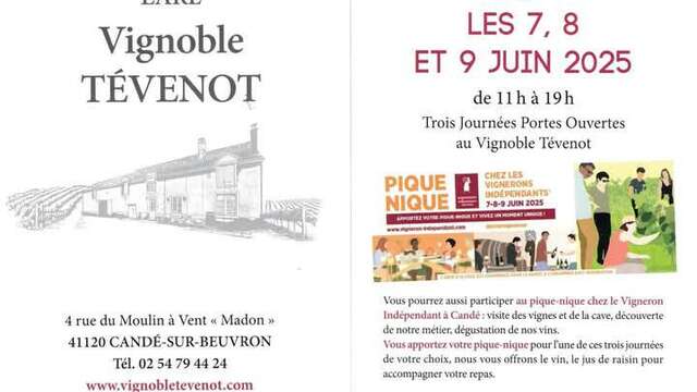 Pique Nique : Vignerons Indépendants : Vignoble Tévenot