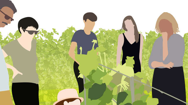 Pique Nique : Vignerons Indépendants : Domaine des Pierrettes
