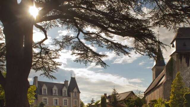Les bois d'Orchaise