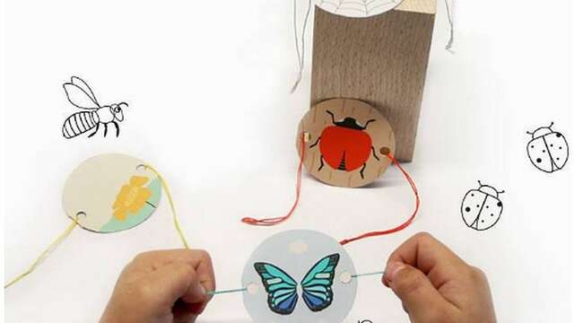 Atelier « Thaumatrope »