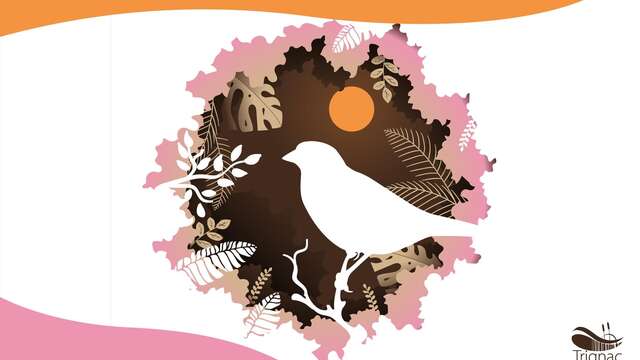 Balade numérique : à la découverte de la nature