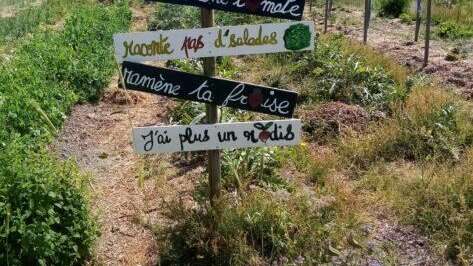 Créer un refuge pour la biodiversité dans votre jardin - Partage Vert