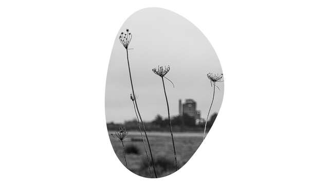Expo photo « Les Forges de Trignac, entre mémoire et métamorphose »