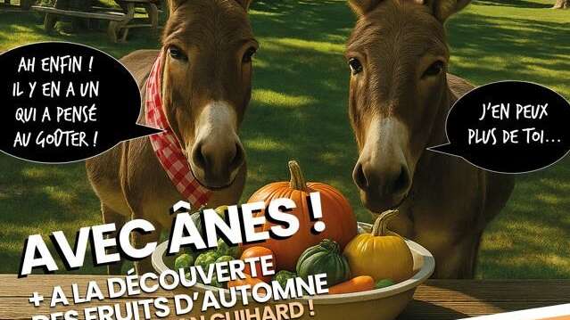 Éco-balade avec des ânes