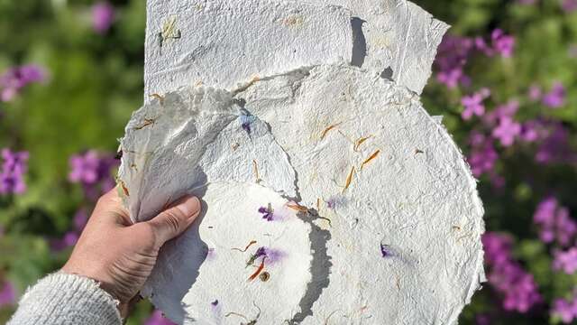 Atelier papier à semer