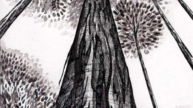 L'arbre un monde vivant