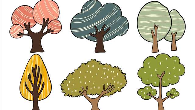 Sortie nature « Arbres-Mondes »