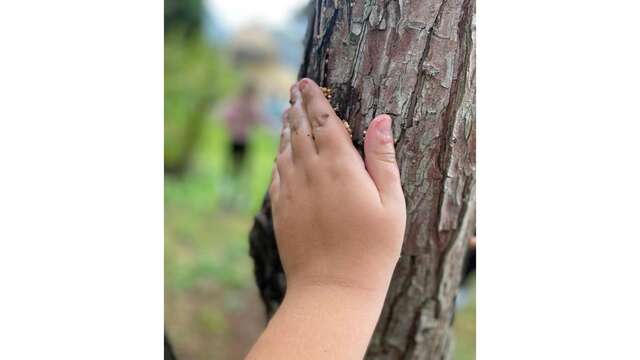 Fresque de la biodiversité