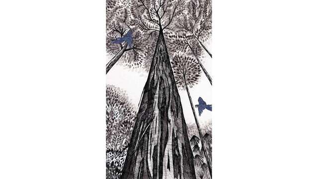 Balade littéraire ornithologique