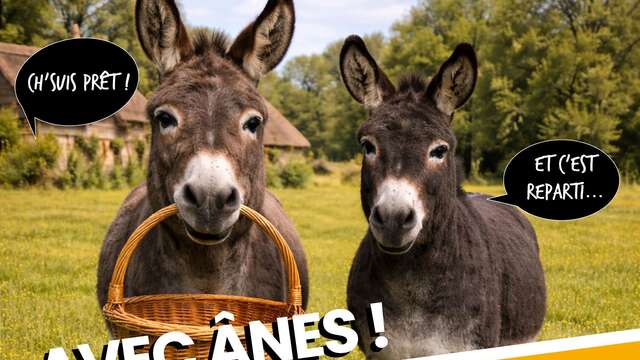 Éco-balade avec des ânes