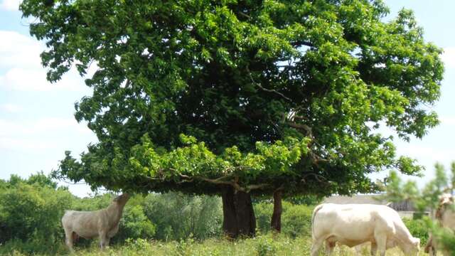 Atelier Découverte de la poésie