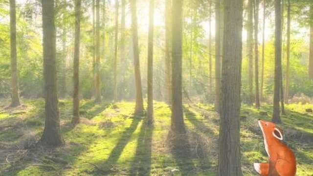 Matinée contée 3-6 ans
