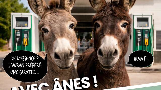 Éco-balade avec des ânes