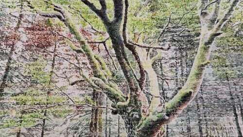Restons branchés