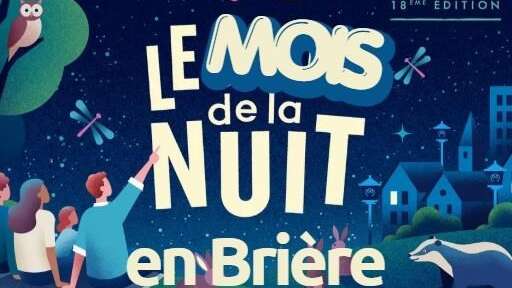 À la découverte du monde nocturne