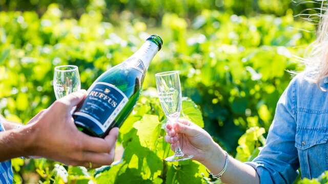 Ruffus - Vignoble des Agaises