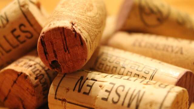 Vinodis - Dégustation de vins