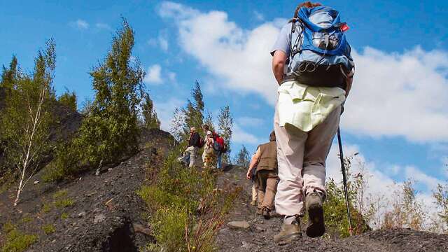 Visite Découverte des terrils - Charleroi