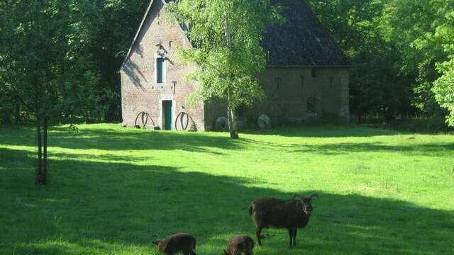 L'huilerie du Stwerdu