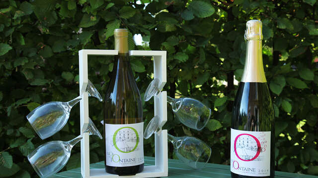 Clos de la Fontaine et Clos Cailloux