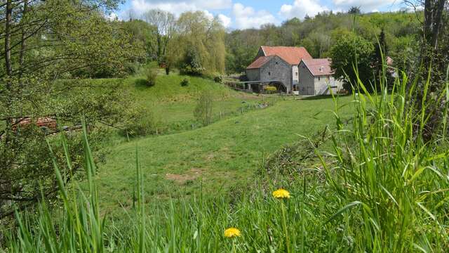 Moulin Ferrières - Héron