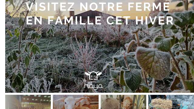 Les visites famille de la ferme du Haya