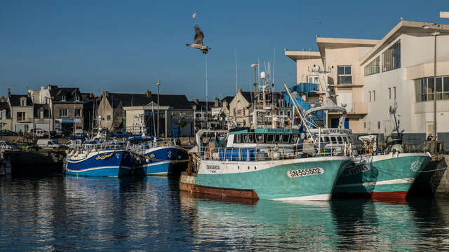 Visite du port de La Turballe