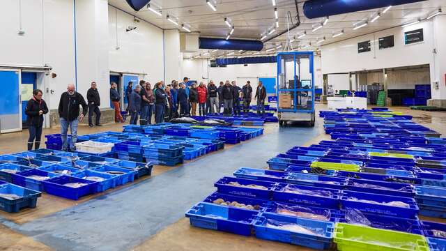 La criée de La Turballe