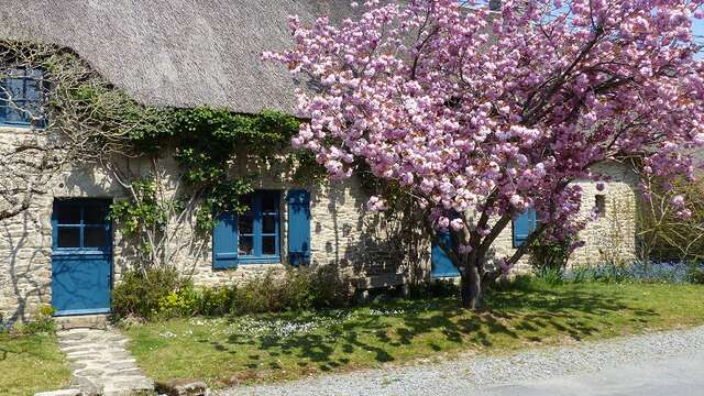 Entre chaumières et marais
