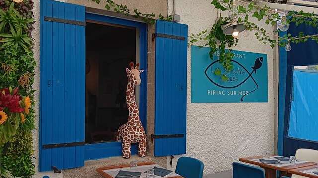 Les Poissons Toqués