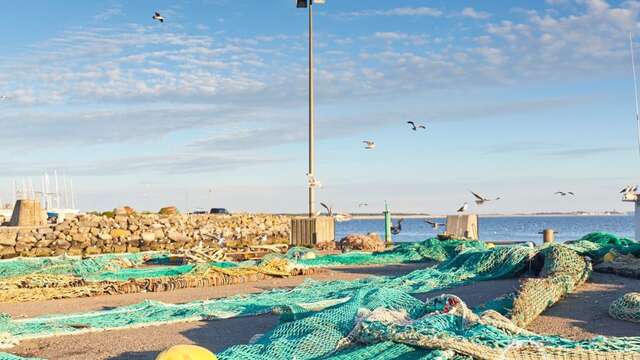 Visite guidée À la découverte de La Turballe