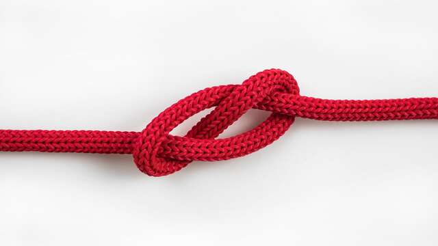 Centre du Palandrin - Atelier nœud marin et pomme de touline - 1h45