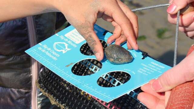 Centre du Palandrin - Sortie Pêche à pied - 2h30