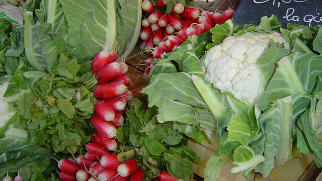 Marché hebdomadaire de Saint-Omer quartier Perpignan