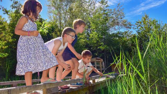 ATELIER | "Symphonie n°9 en forêt majeure" à la Grange nature (dès 6ans)