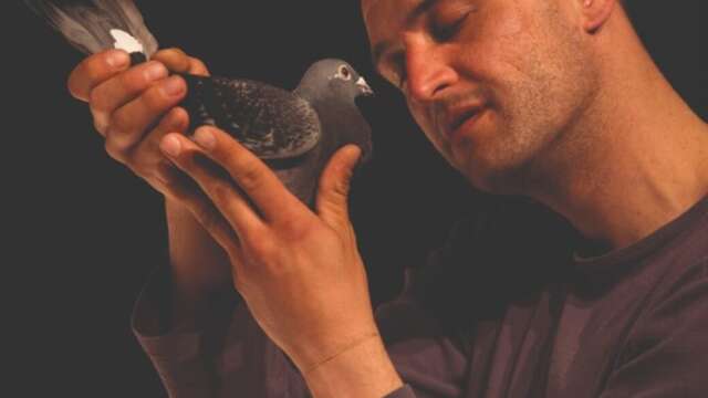 SPECTACLE | "Pigeons"par Kévin Defossez