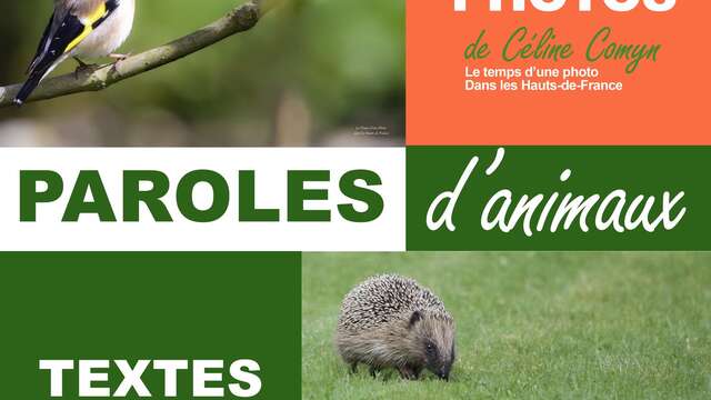 EXPO | Paroles d'animaux