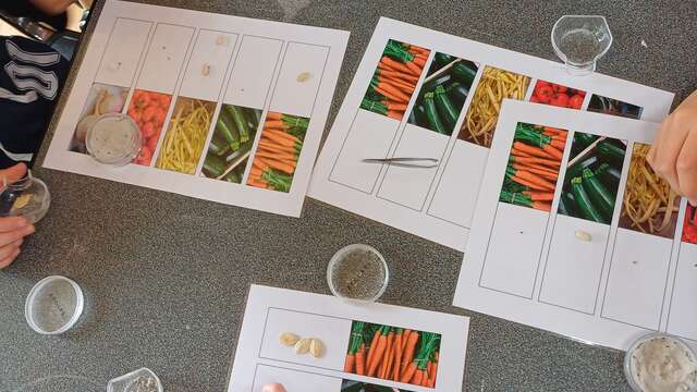 ATELIER 9 à 12 ans | Dans la peau d'un archéologue