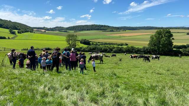 La Ferme du Mont Vert