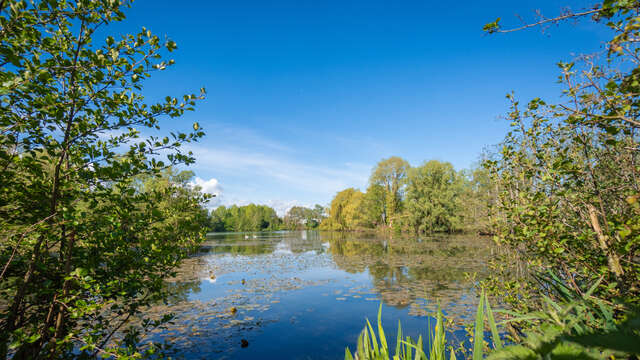 SORTIE NATURE | Marche Nature à Aire-sur-la-Lys
