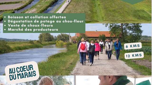 RANDO | "La Randonnée du Chou-fleur" de la Confrérie