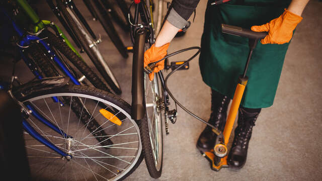 Ekobikes