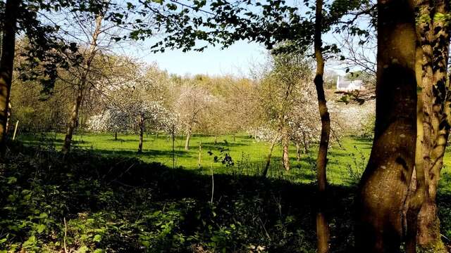 Les Vergers de l'Escapade