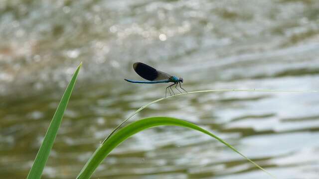 ATELIER | Atelier scientifique (dès 8 ans)